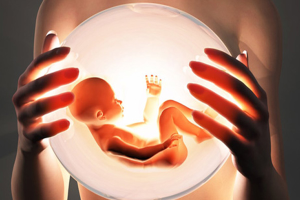 做泰国试管婴儿中影响胚胎数量的原因