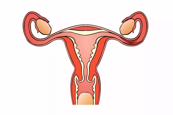 输卵管不通对做泰国试管婴儿的影响