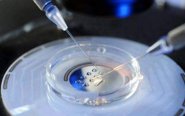 泰国试管婴儿a级胚胎成功率？多少钱？